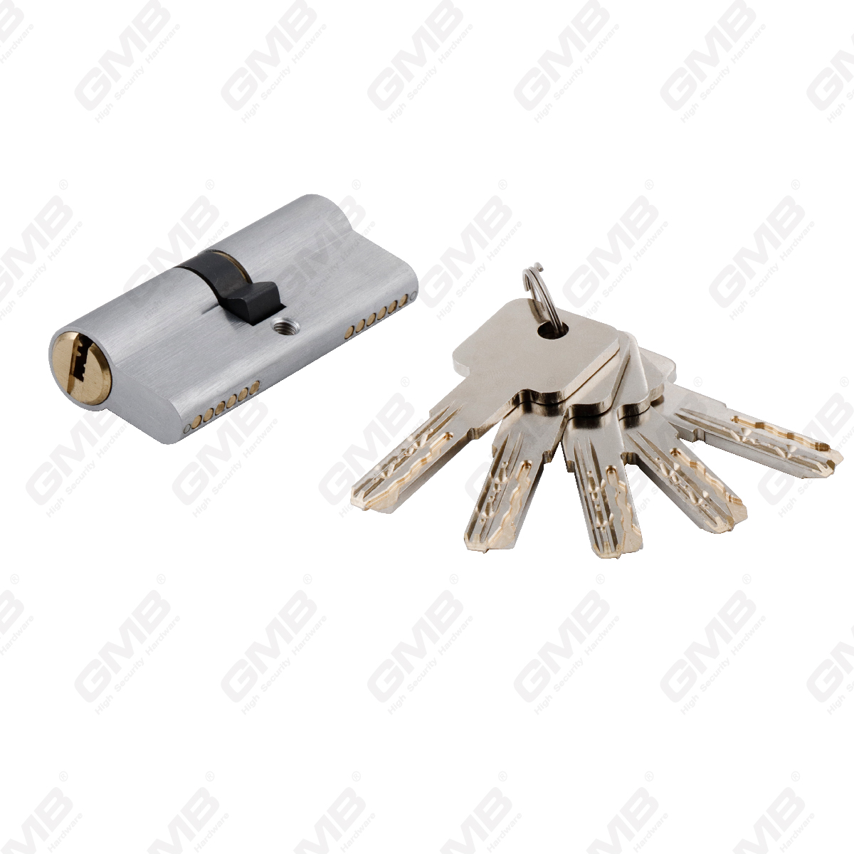 High security cylinder with snake key way (GMB-CY-26A)