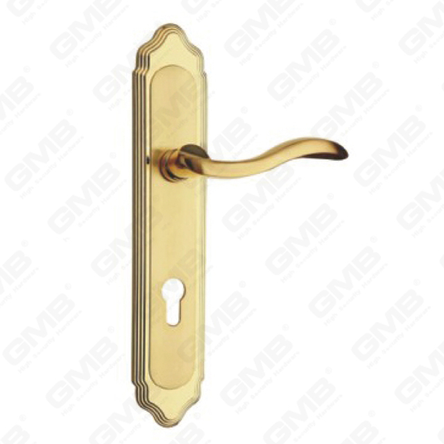 Door Handle Pull Wooden Door Hardware Handle Lock Door Handle on Plate for Mortise Lockset by Zinc Alloy or Steel Door Plate Handle (ZL91376-GSB&GPB)