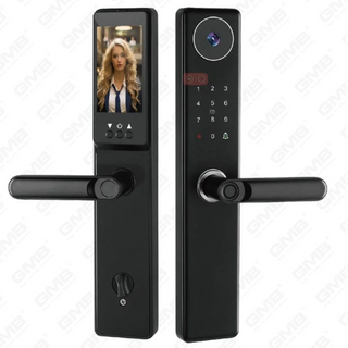 High Security Fingerprint/RFID Card/WiFi/Tuya/Tt APP/ with Camera Intelligent Anti-Peep Digital Smart Door Lock (934)