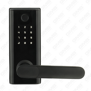 American Standard Waterproof Keyless Entry Tuya/Tt Wireless Digital Password Fingerprint Mf Card Smart Door Lock (A014)