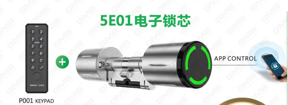 High Security Multi-Unlocking Ways IP65 Password Keypad Keyless WiFi Digital Adjustable Modular Profile Tuya/Tt APP Smart Electronic Door Lock Cylinder