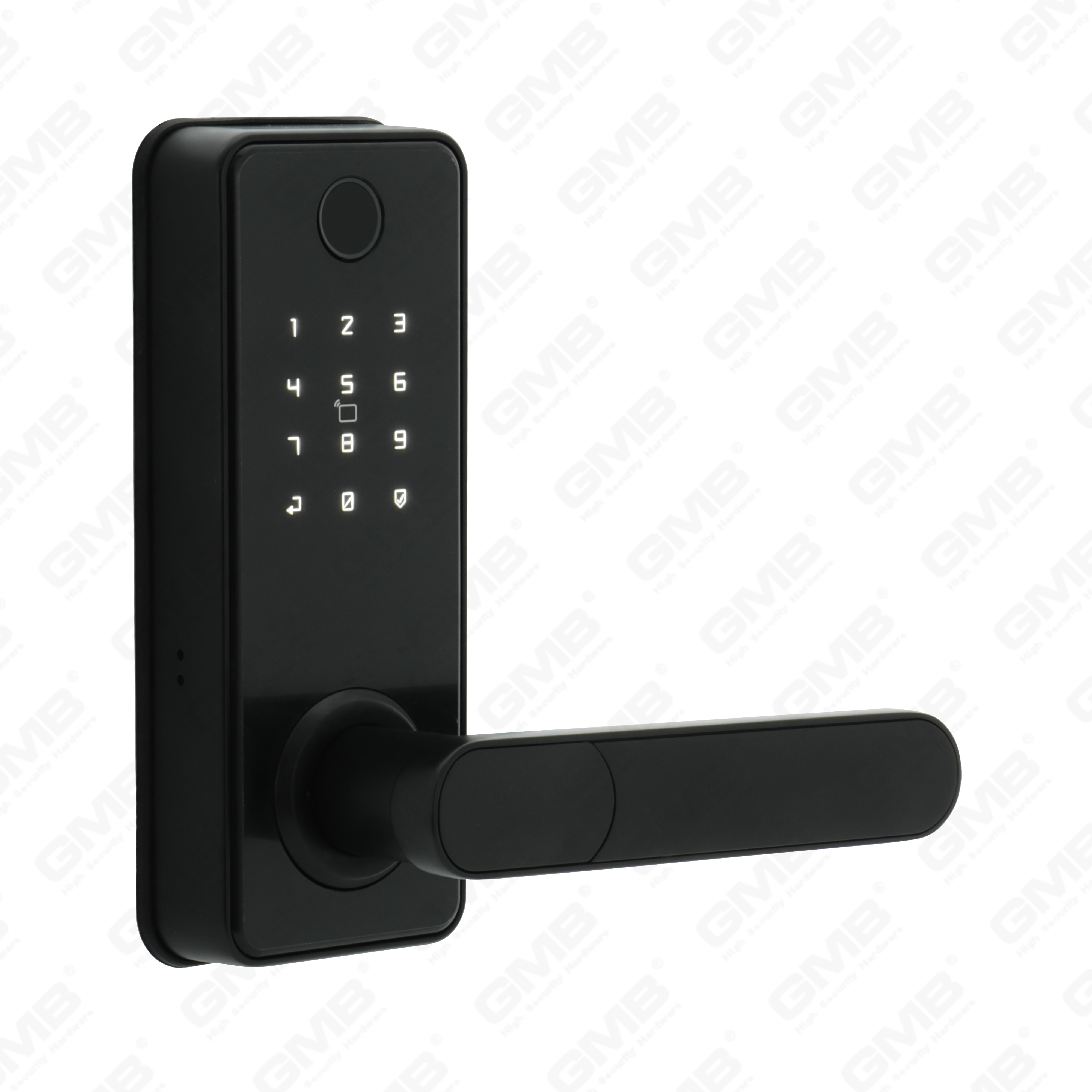 American Standard Waterproof Keyless Entry Tuya/Tt Wireless Digital Password Fingerprint Mf Card Smart Door Lock (A012)