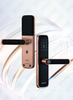 High Security Fingerprint/RFID Card/WiFi/Tuya/Tt APP Digital Smart Door Lock (638)