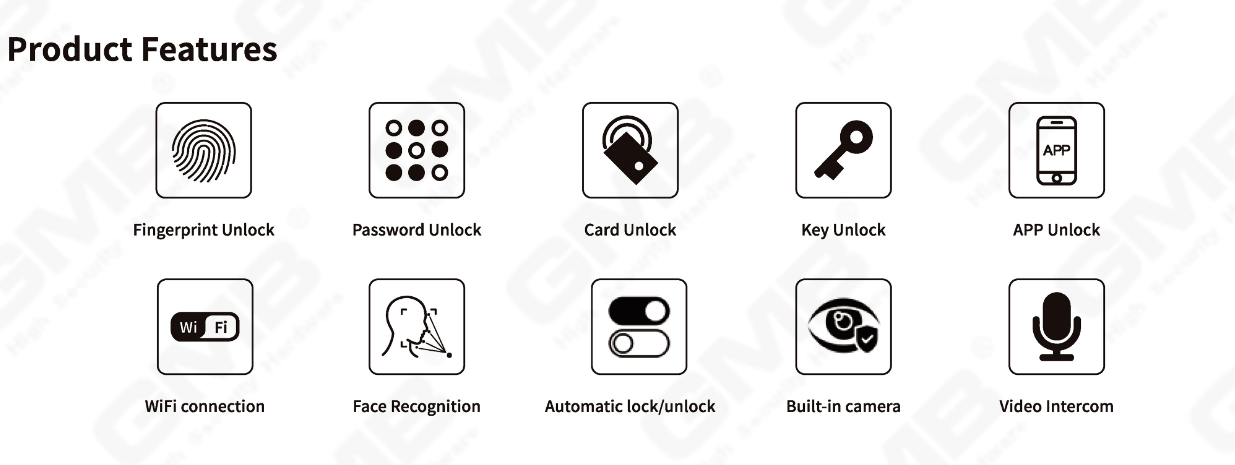 FACE RECOGNITION SMART LOCK(823)