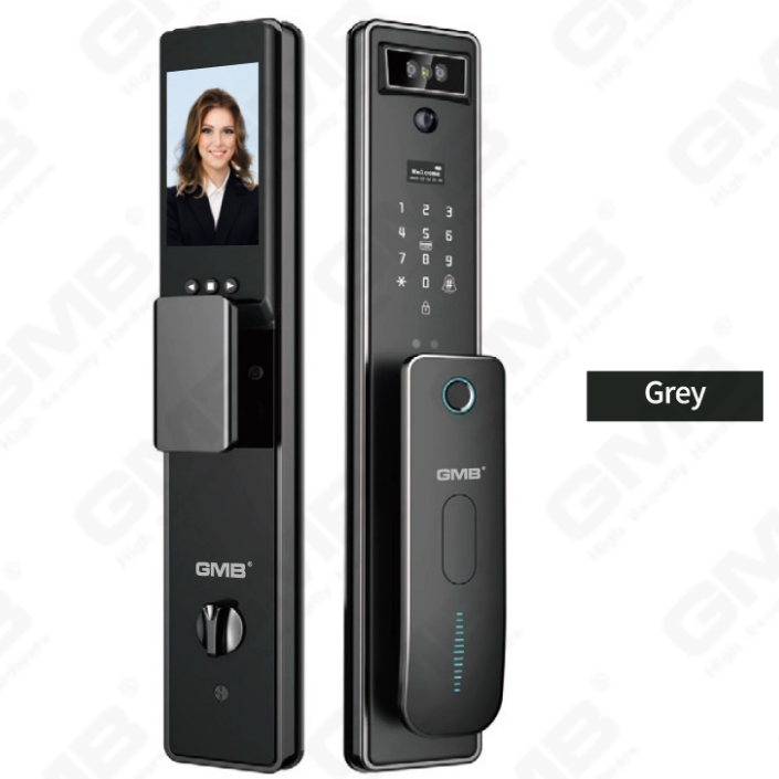 FACE RECOGNITION SMART LOCK(825)