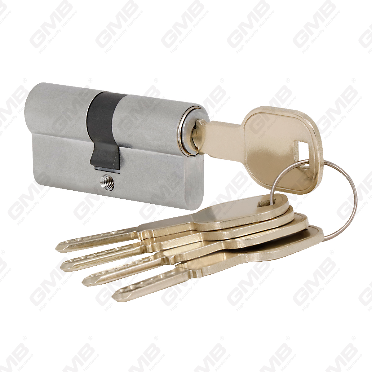 High Precision Euro Cylinder with 2 rows (GMB-CY-41)