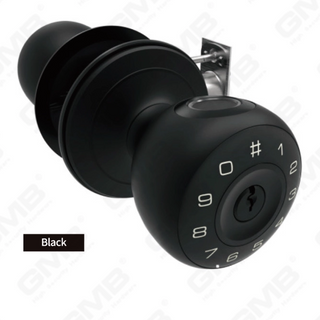 SMART HANDLE LOCK (411)