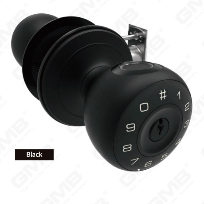SMART HANDLE LOCK (411)