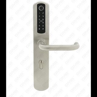 European Standard Waterproof Keyless Entry Tt Wireless Digital Password Fingerprint Mf Card Smart Door Lock (U021)