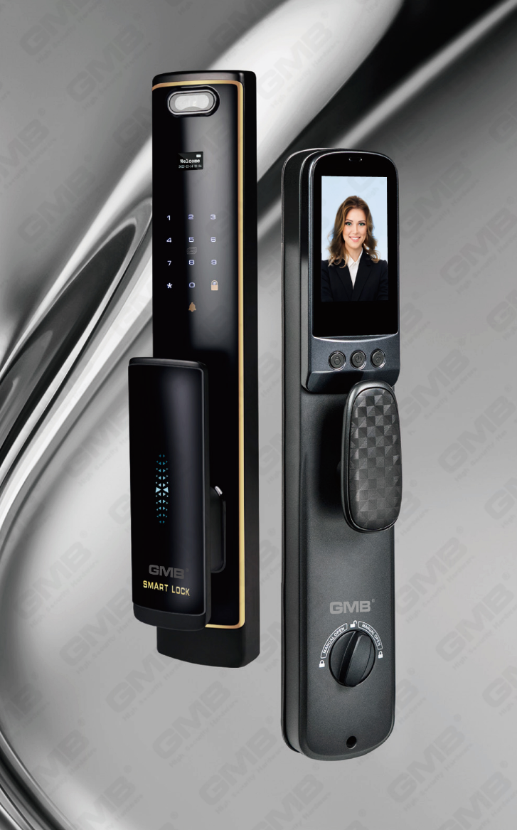 FACE RECOGNITION SMART LOCK(823)
