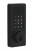 American Standard Waterproof Keyless Entry Tuya/Tt Wireless Digital Password Fingerprint Mf Card Smart Door Lock (A015)