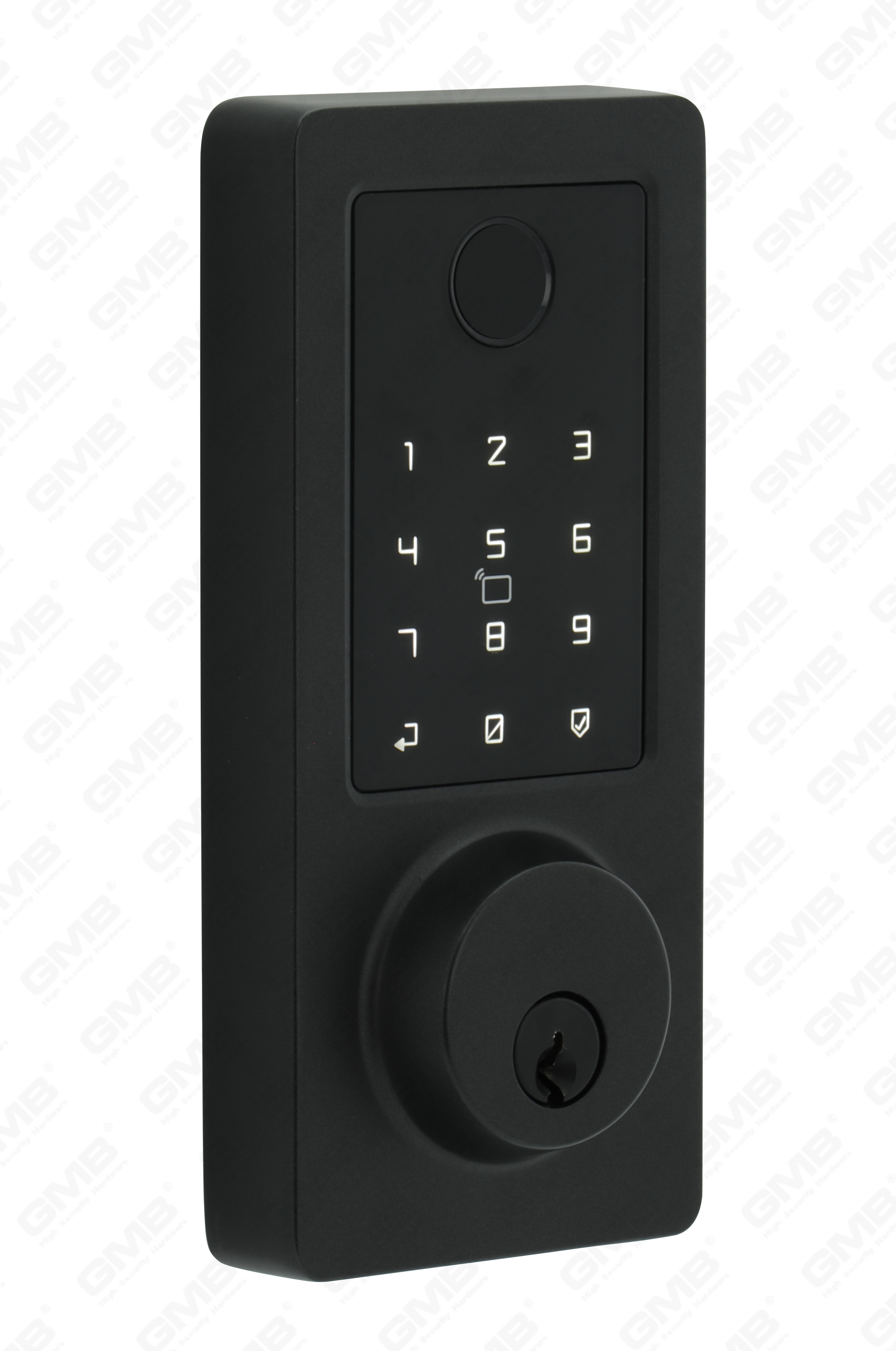 American Standard Waterproof Keyless Entry Tuya/Tt Wireless Digital Password Fingerprint Mf Card Smart Door Lock (A015)