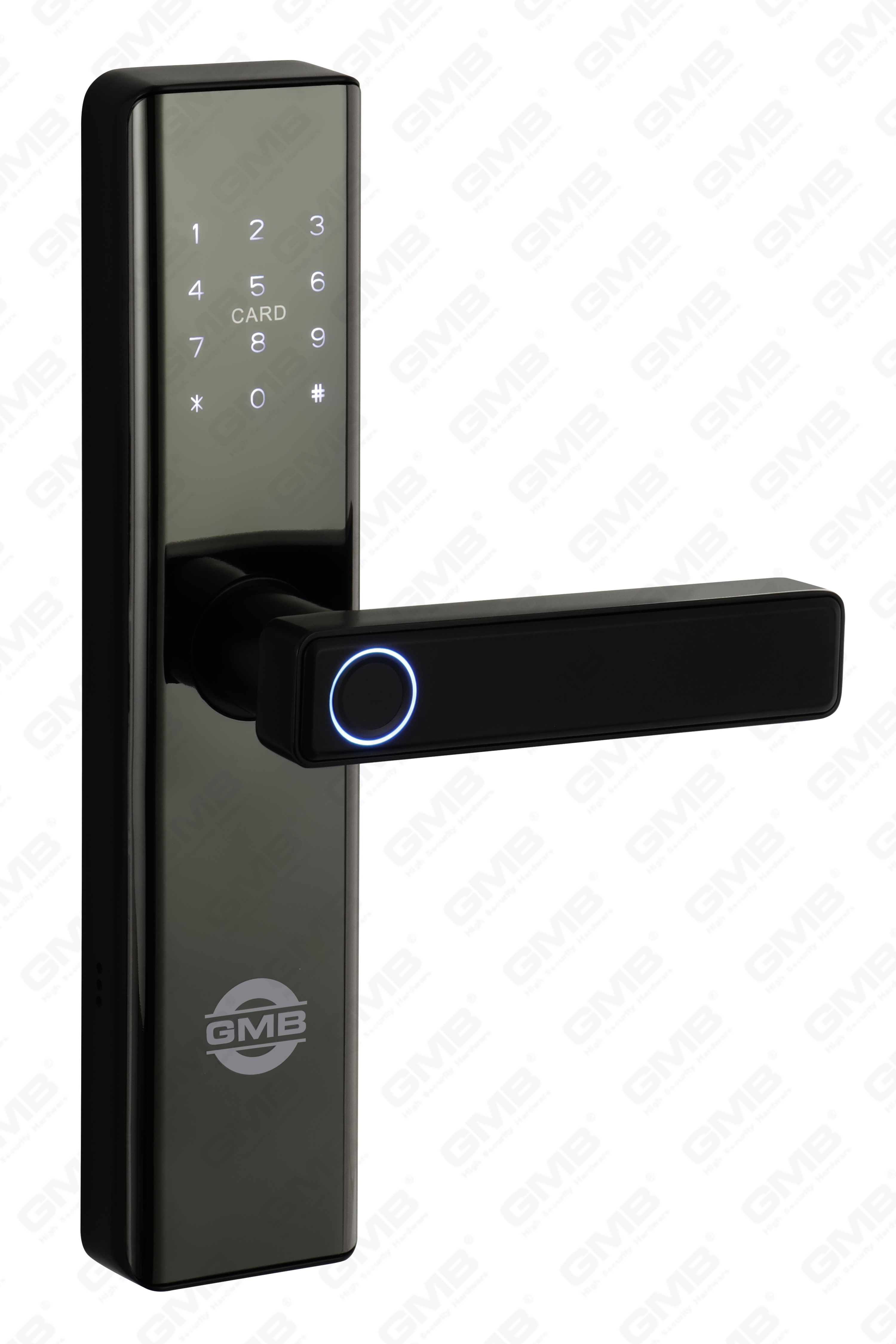 High Security Fingerprint/RFID Card/WiFi/Tuya/TT APP Digital Smart Door Lock (660)