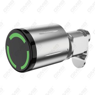 High Security Multi-Unlocking Ways IP65 Keyless WiFi Digital Adjustable Modular Profile Smart Electronic Door Lock Cylinder （5A08）