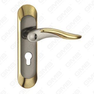 Door Handle Pull Wooden Door Hardware Handle Lock Door Handle on Plate for Mortise Lockset by Zinc Alloy or Steel Door Plate Handle (ZM60623-HG)