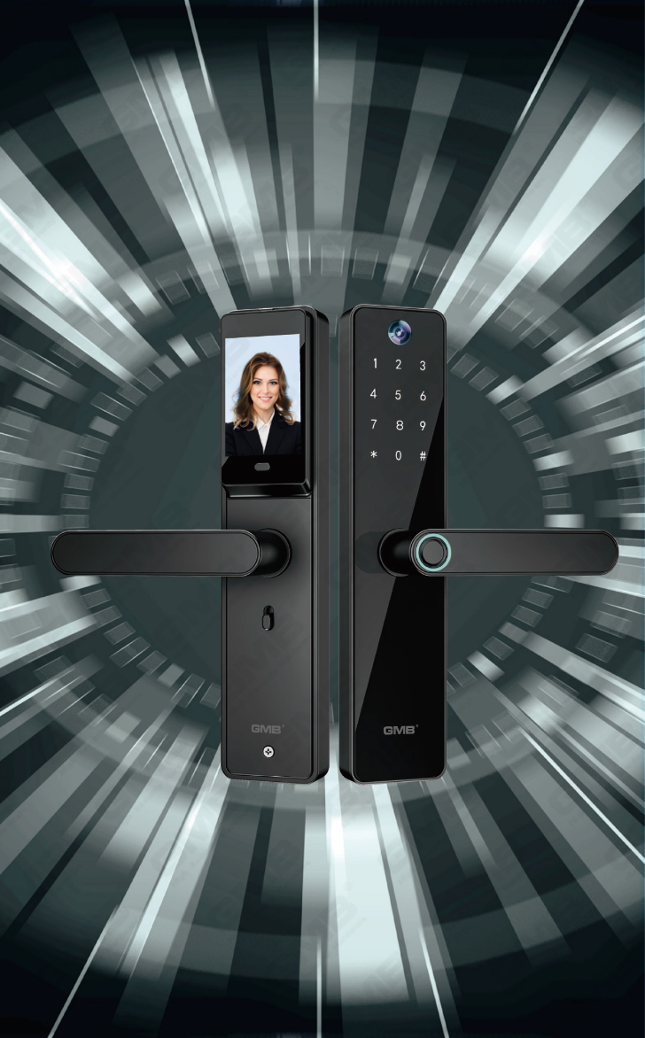 INTERIOR & APARTMENT SMART LOCK(651)