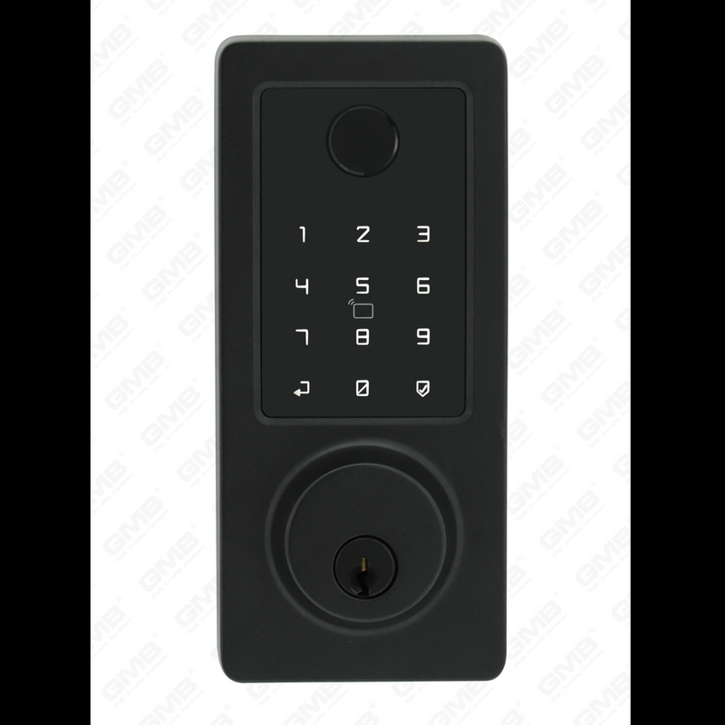 American Standard Waterproof Keyless Entry Tuya/Tt Wireless Digital Password Fingerprint Mf Card Smart Door Lock (A015)