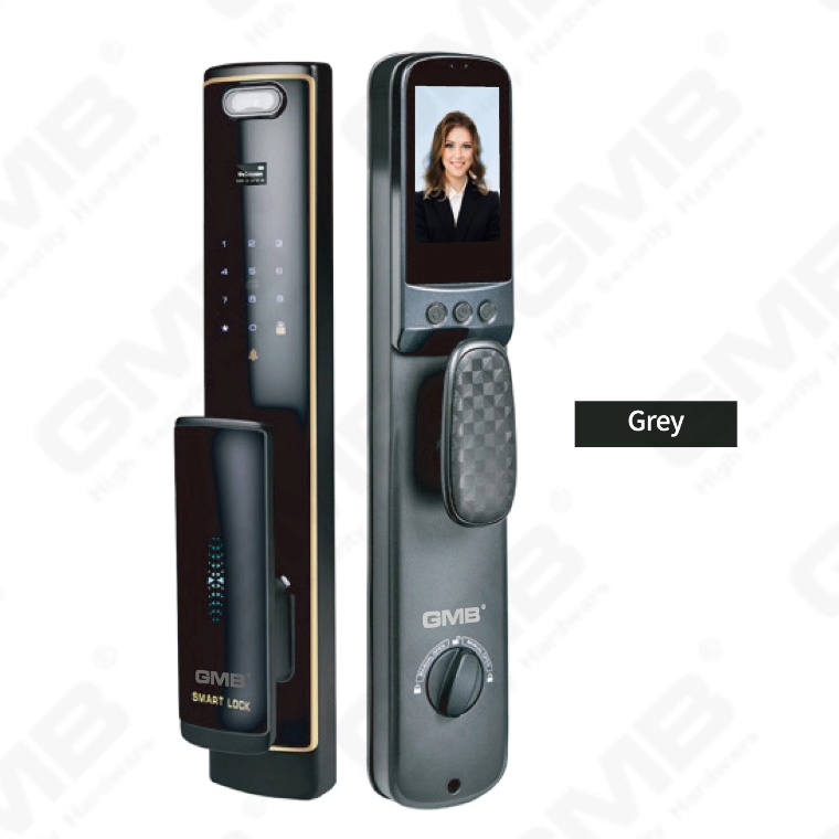 FACE RECOGNITION SMART LOCK(823)