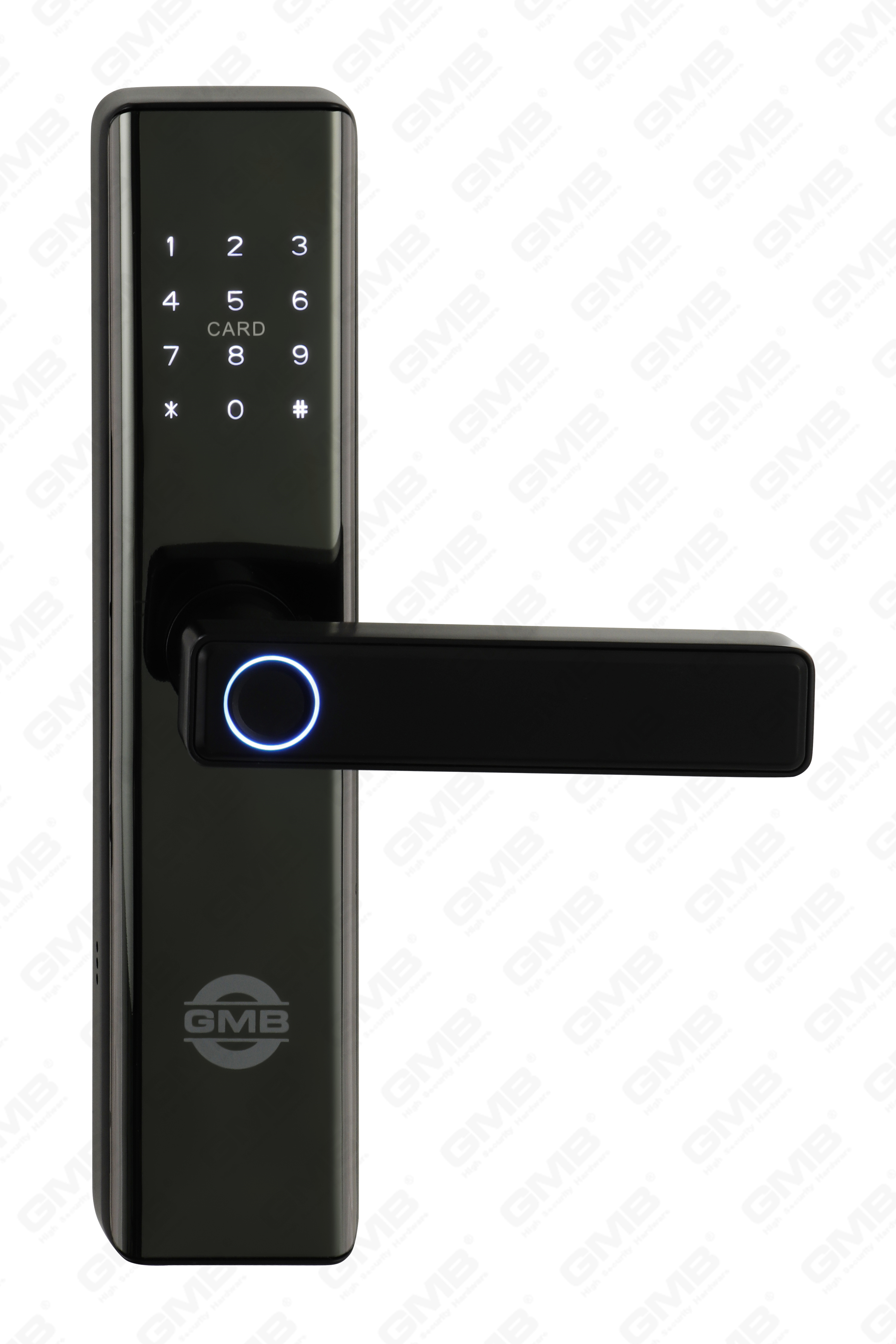 High Security Fingerprint/RFID Card/WiFi/Tuya/TT APP Digital Smart Door Lock (660)