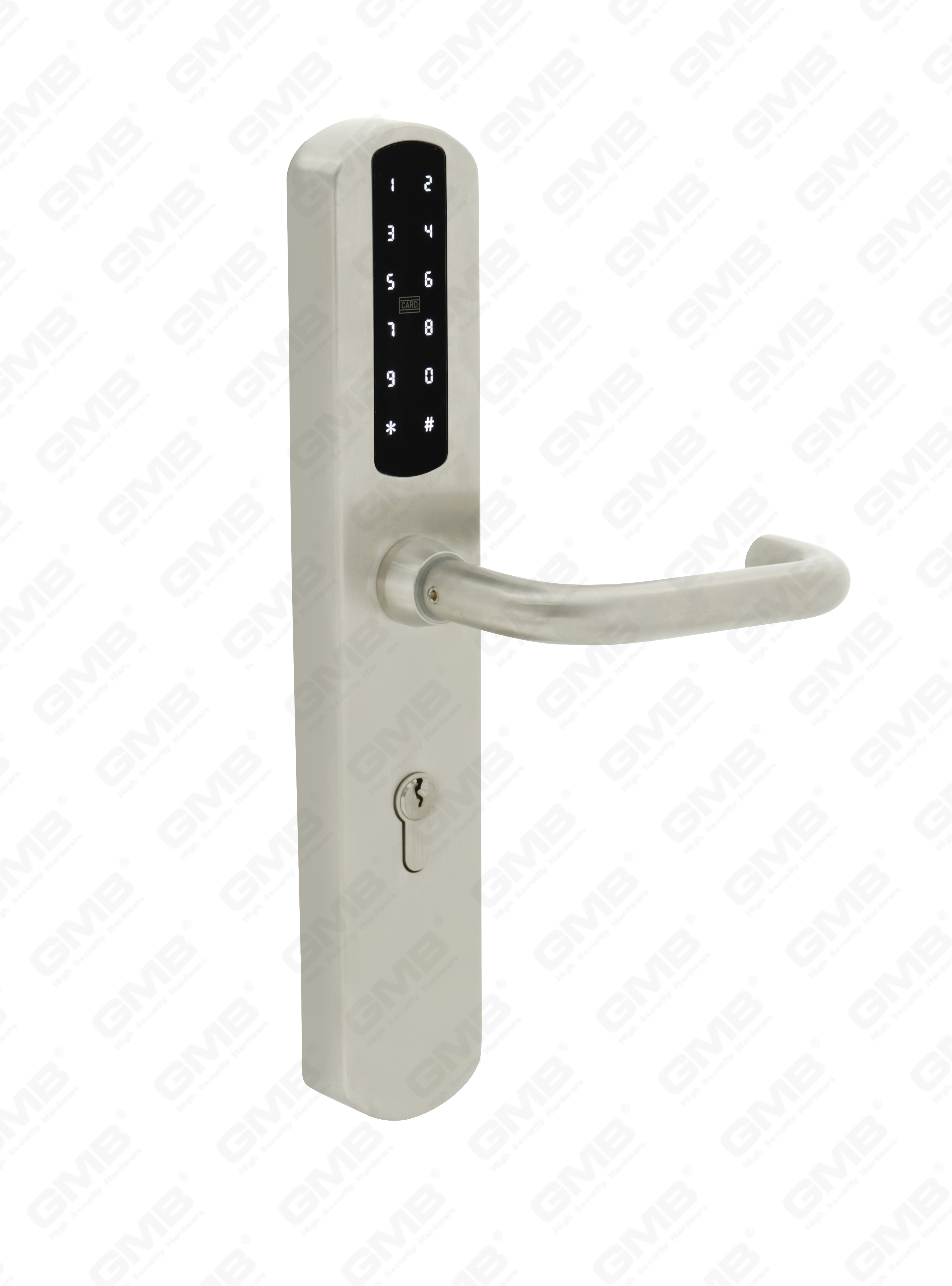 European Standard Waterproof Keyless Entry Tt Wireless Digital Password Mf Card Smart Door Lock (U020)