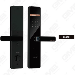EXTERIOR SMART DOOR LOCK (922)