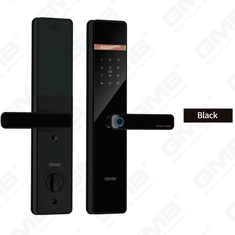 EXTERIOR SMART DOOR LOCK (922)