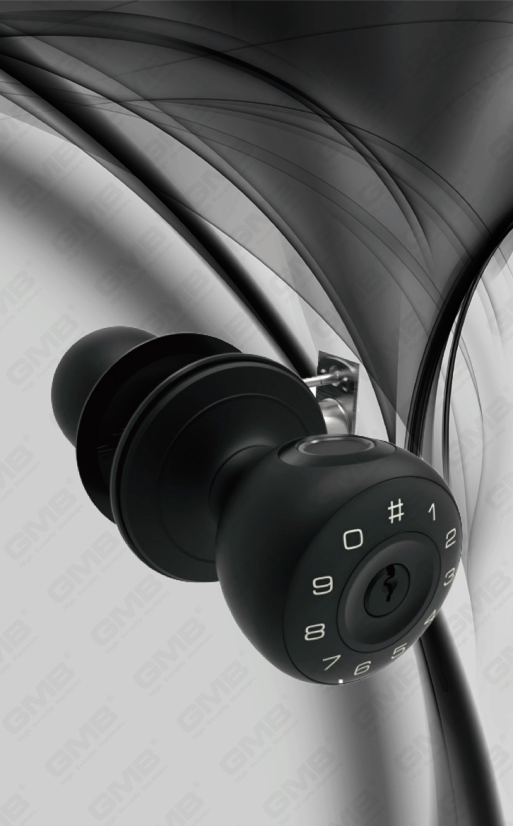 SMART HANDLE LOCK (411)