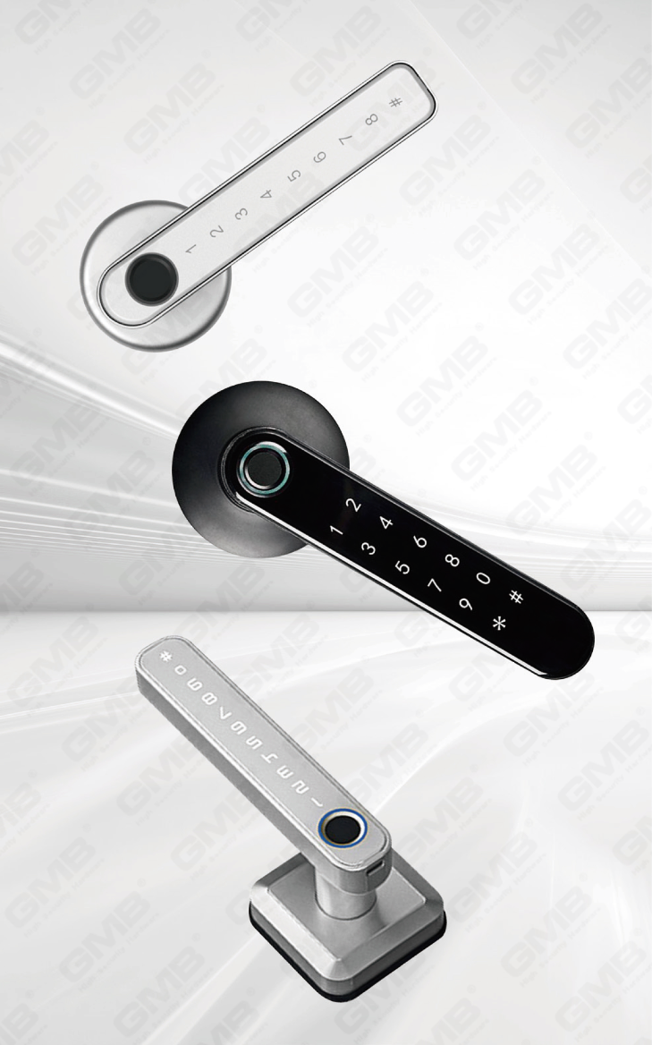SMART HANDLE LOCK (401)