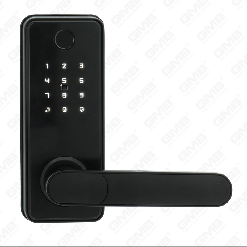 American Standard Waterproof Keyless Entry Tuya/Tt Wireless Digital Password Fingerprint Mf Card Smart Door Lock (A012)
