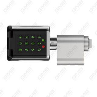 High Security Multi-Unlocking Ways IP66 Fingerprint Password Keyless Wifi Digital Adjustable Modular Profile Tuya/TT APP Smart Electronic Door Lock Cylinder (5D03)