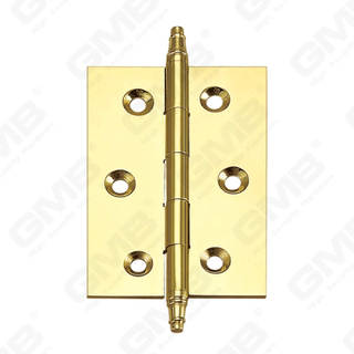 High Quality Door Hardware Brass Door Hinge [HG-1039]