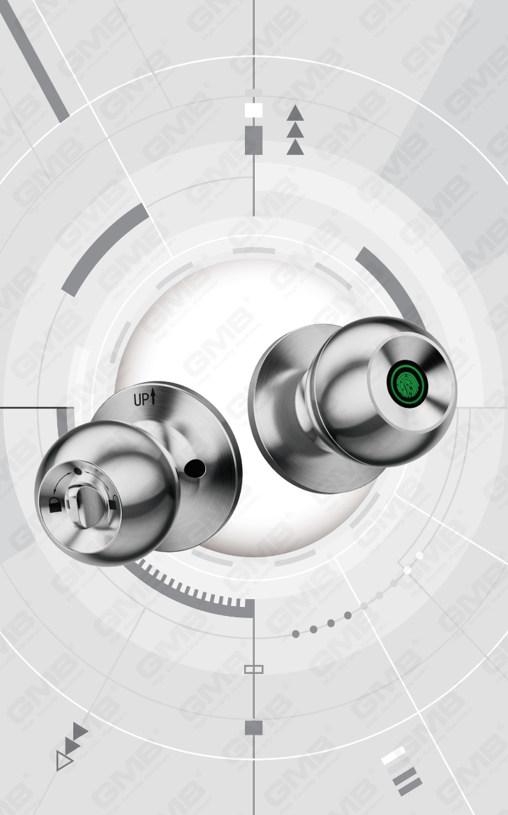 SMART HANDLE LOCK (410)