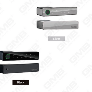 SMART HANDLE LOCK (430)