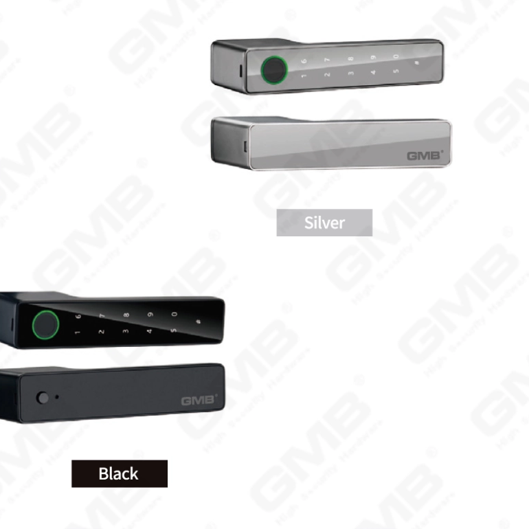 SMART HANDLE LOCK (430)