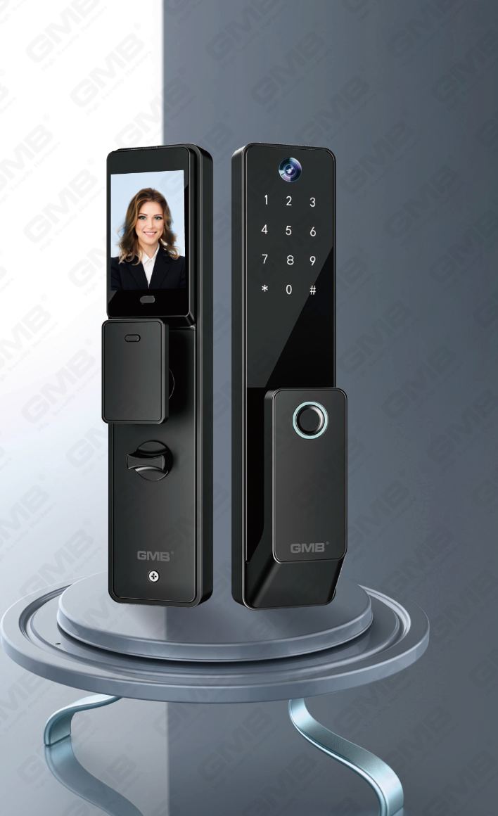 INTERIOR & APARTMENT SMART LOCK(652)