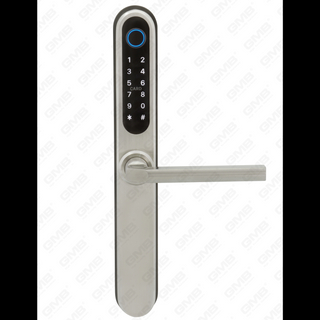 European Standard Waterproof Keyless Entry Tt Wireless Digital Password Fingerprint Mf Card Smart Door Lock (U049)