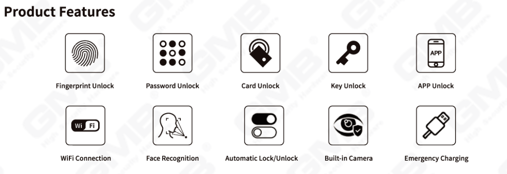 FACE RECOGNITION SMART LOCK(825)