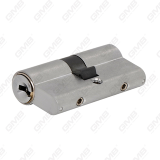 High Precision Euro Cylinder with 2 rows (GMB-CY-41)