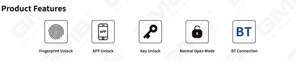 SMART HANDLE LOCK (410)