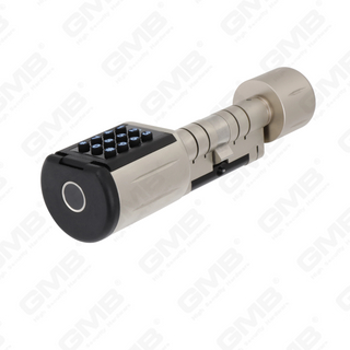 High Security Multi-Unlocking Ways IP66 Fingerprint Password Keyless Wifi Digital Adjustable Modular Profile Tuya/TT APP Smart Electronic Door Lock Cylinder (5D01)