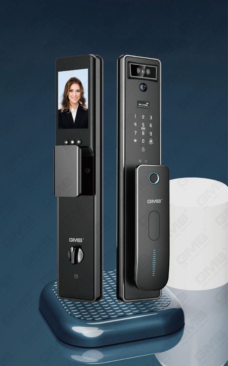 FACE RECOGNITION SMART LOCK(825)