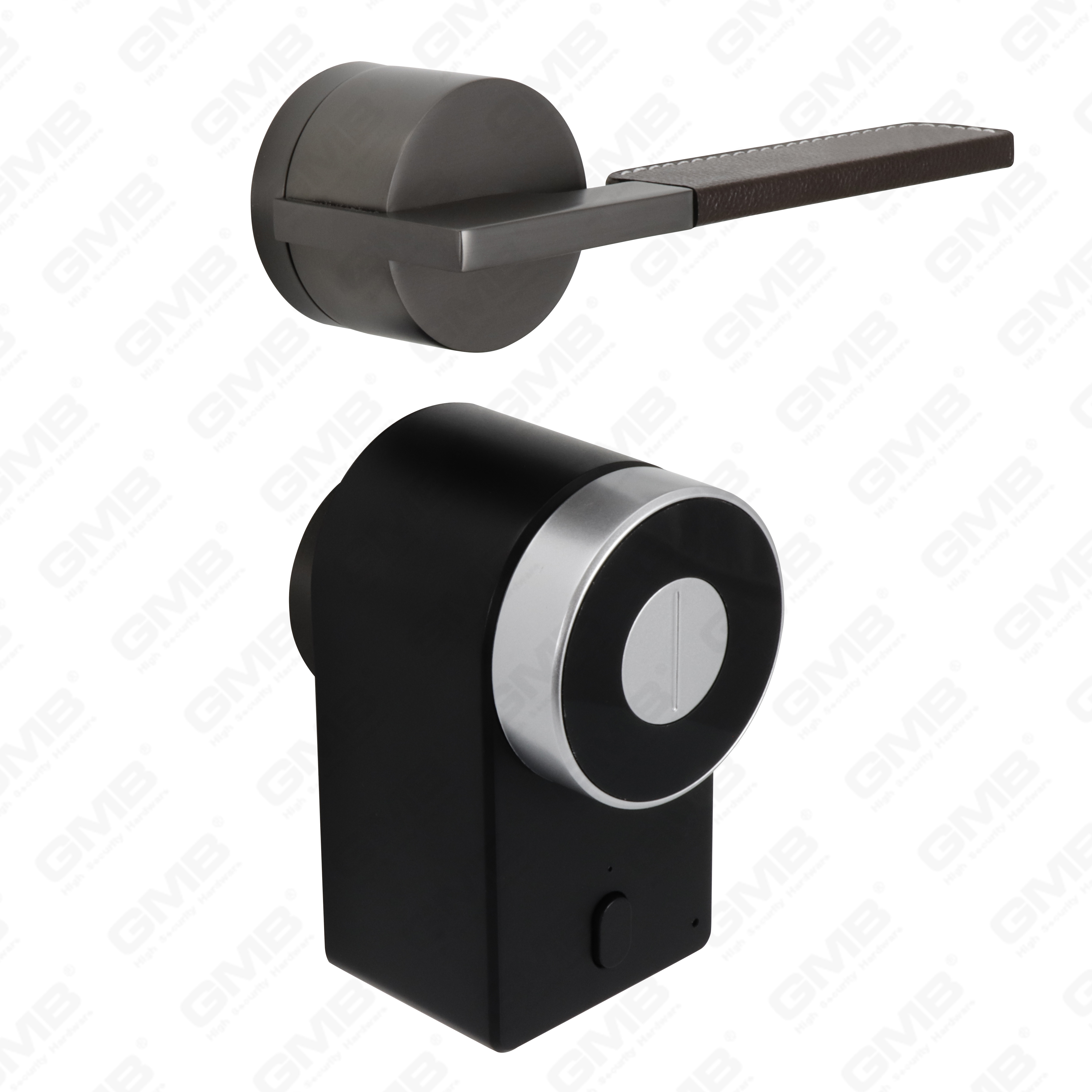 European Keyless Entry Tt APP Password Remote Wireless Digital Smart Door Lock (U009)