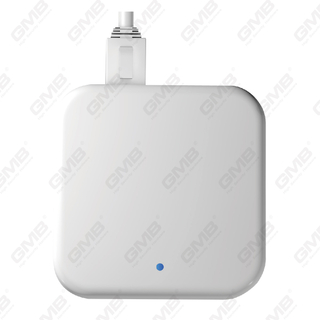 G3p WiFi BLE Poe Ttlock Gateway for Smart Lock and Other Ttlock Devices (G3P)