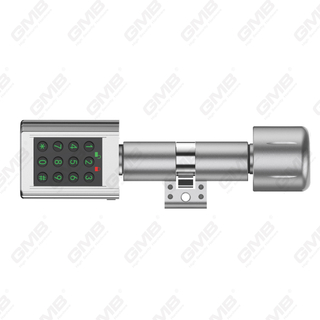 High Security Multi-Unlocking Ways IP66 Fingerprint Password Keyless Smart Electronic Door Lock Cylinder (5C04)