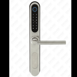European Standard Waterproof Keyless Entry Tuya/Tt Wireless Digital Password Fingerprint Mf Card NFC Smart Door Lock (U052)