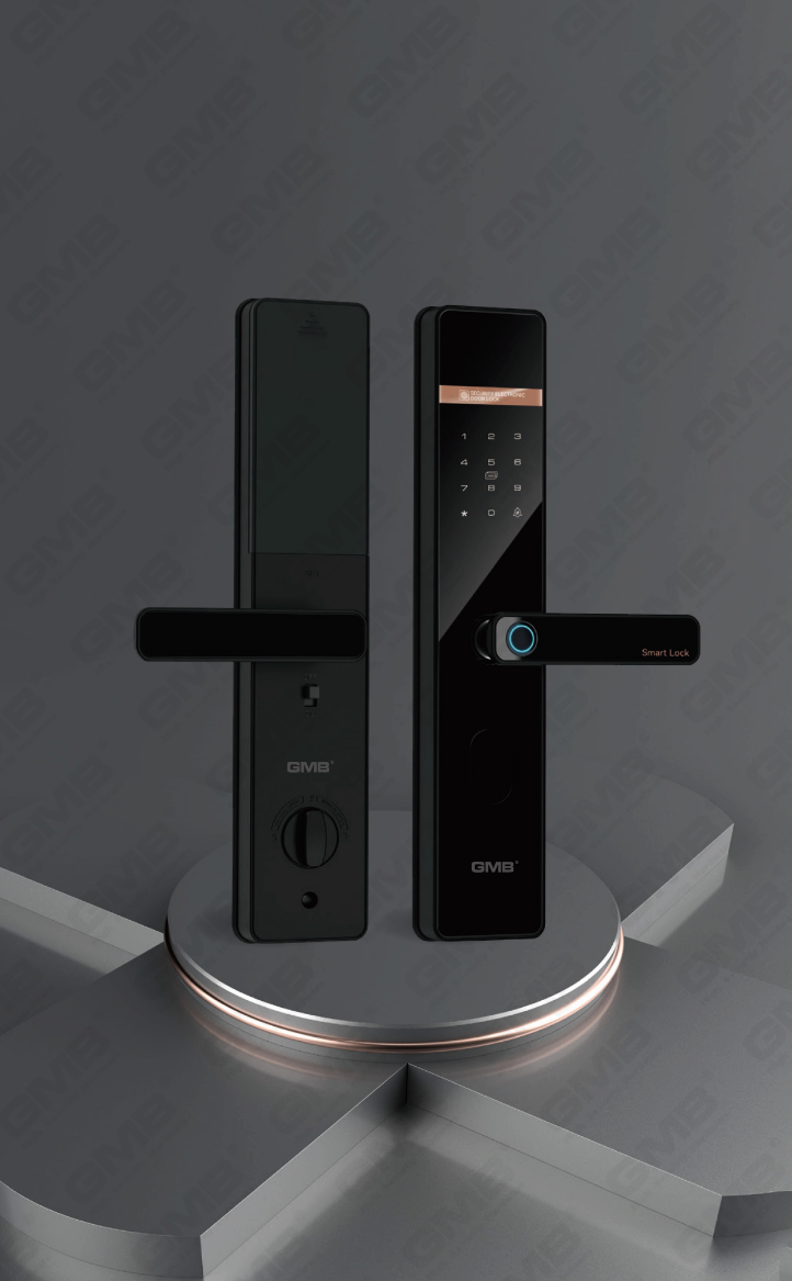 EXTERIOR SMART DOOR LOCK (922)