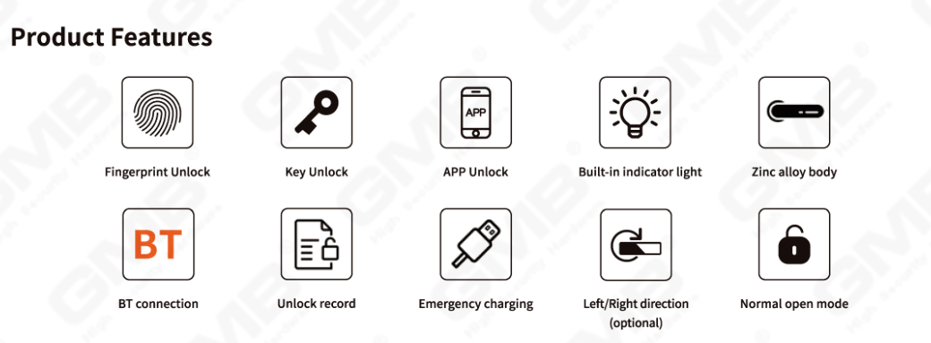 SMART HANDLE LOCK (401)