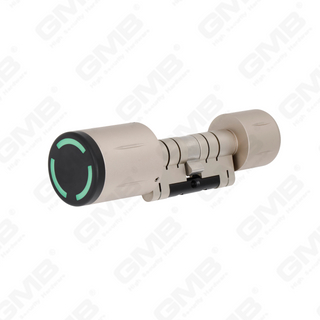 High Security Multi-Unlocking Ways IP65 Keyless WiFi Digital Adjustable Modular Profile Tuya/Tt APP Smart Electronic Door Lock Cylinder