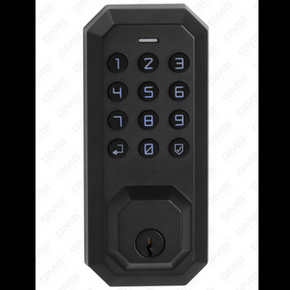 American Standard Waterproof Keyless Entry Digital Password Smart Door Lock (A028)