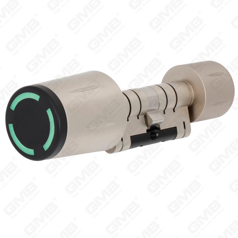 High Security Multi-Unlocking Ways IP67 WiFi Digital Adjustable Modular Profile Smart Electronic Door Lock Cylinder (5B01)
